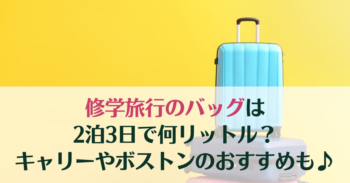 修学旅行のバッグは2泊3日で何リットル？キャリーやボストンのおすすめをご紹介♪